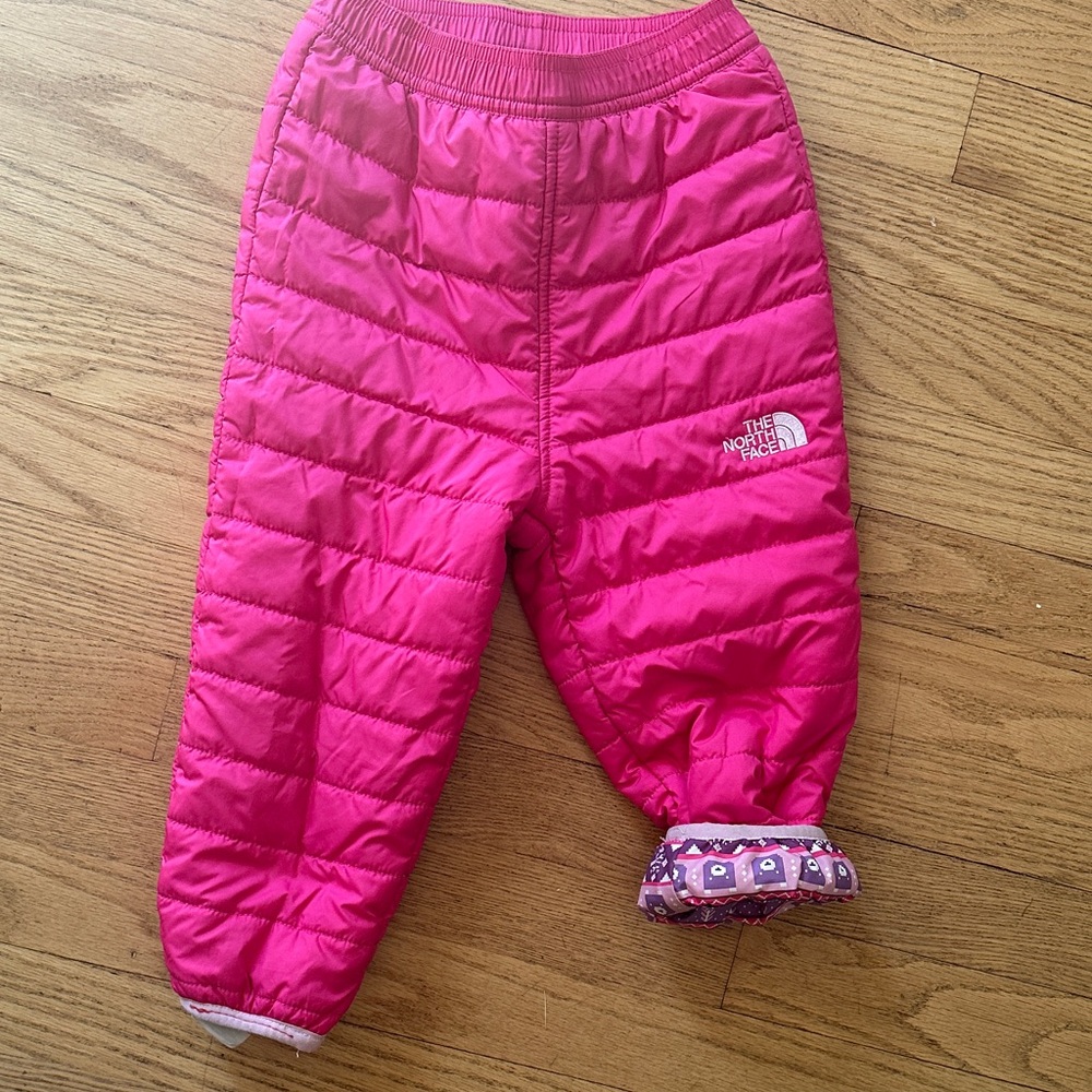 The North Face Fuchsia Insulated Pants